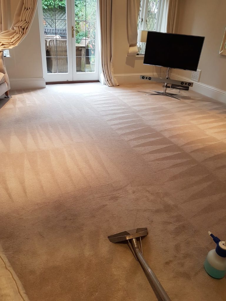 Carpet Celamning Services London