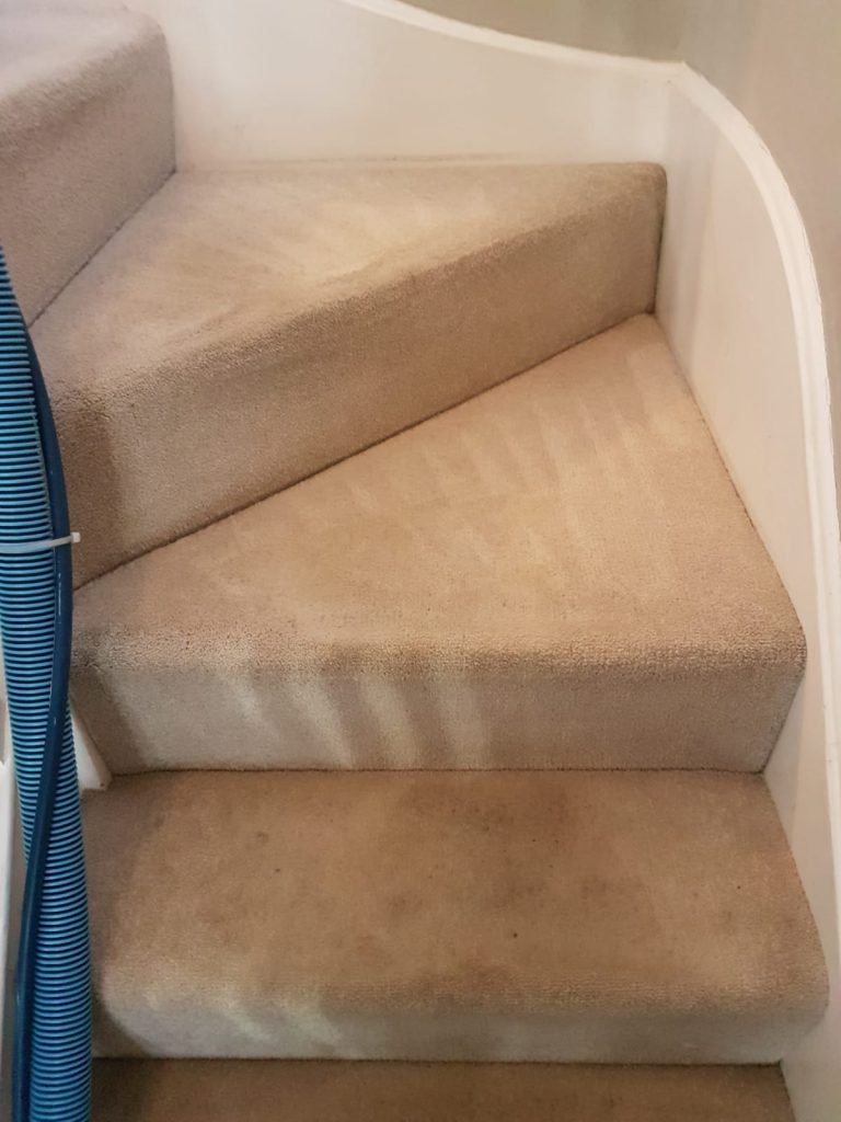 Carpet Cleaning surrey