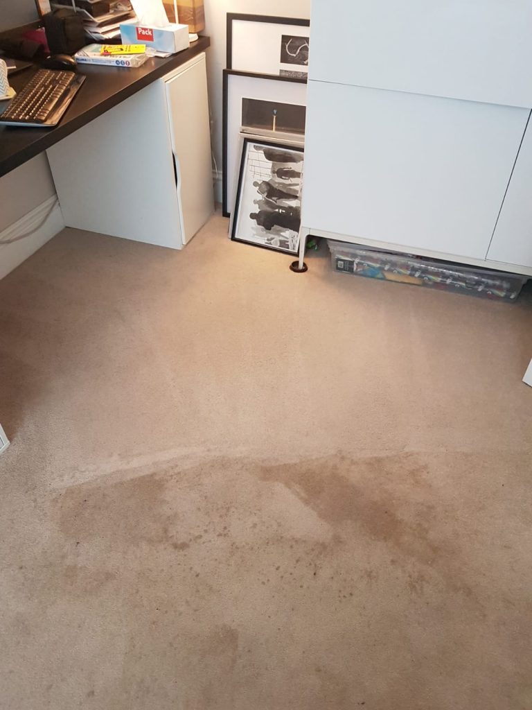 carpet cleaning kent